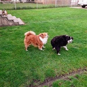 Meet your Posher, Maria